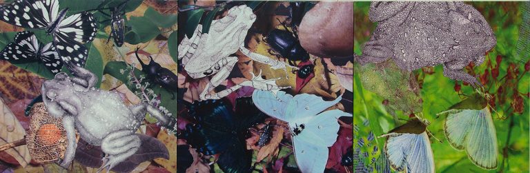 2015・ZERO展